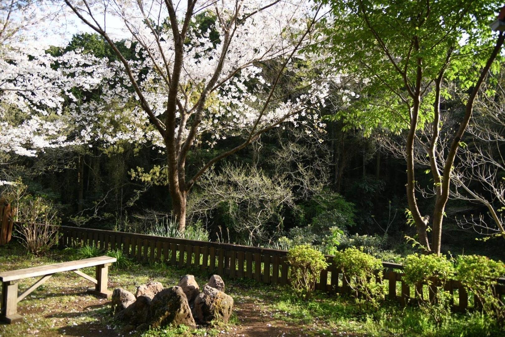 Sunny Side Cottage Shimoda  Exteriör bild