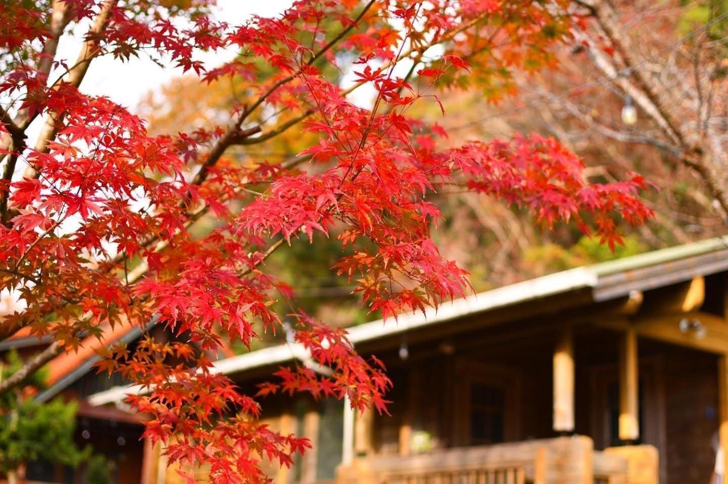 Sunny Side Cottage Shimoda  Exteriör bild